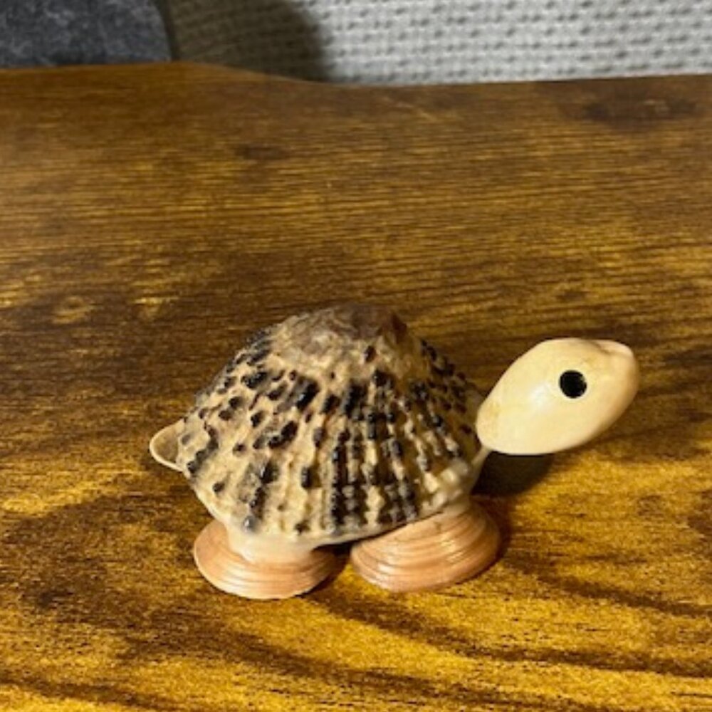 Miniture Handcrafted‎ Nautical Seashell Turtle 1"